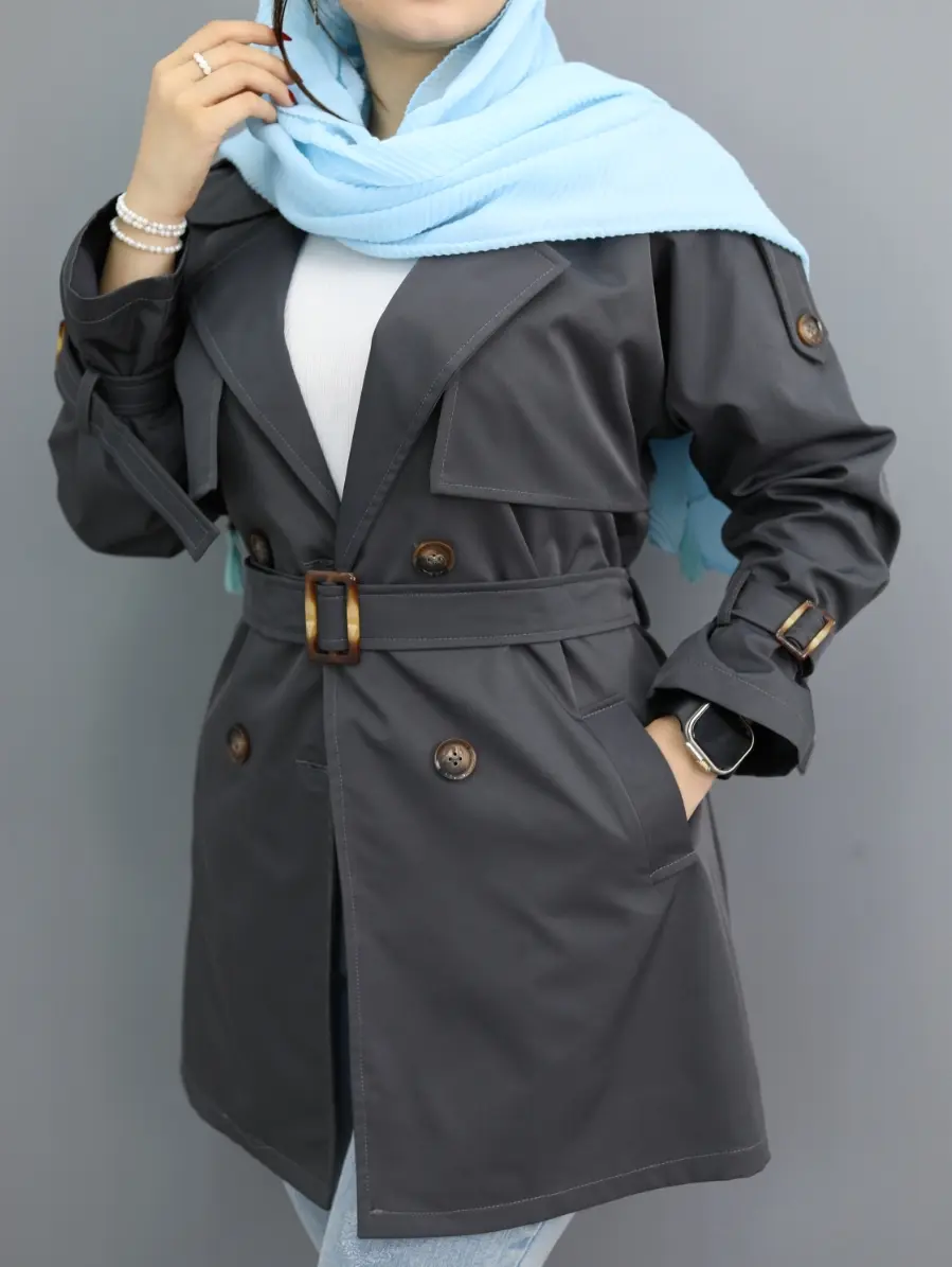 بارونی سروین